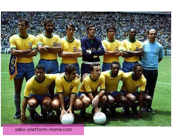 世界杯竞猜赔率网站：精准分析与实时更新助你赢得更多奖金